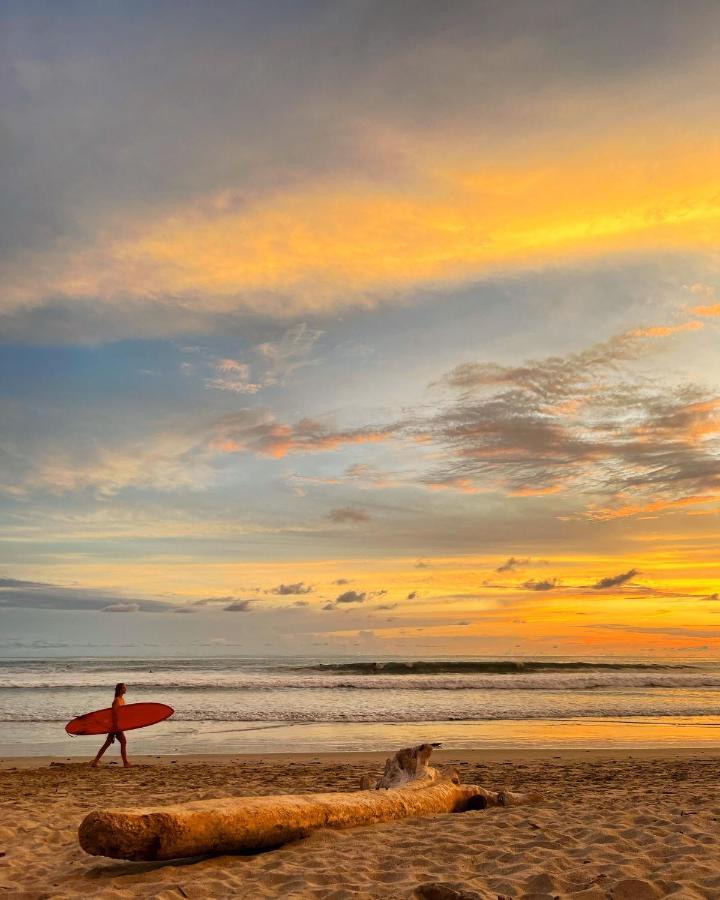Buena Onda Bungalows Playa Santa Teresa  Exteriér fotografie